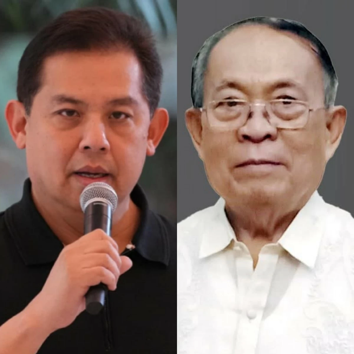 House Speaker Martin Romualdez (left), Johnny Dayang (PPAB, Facebook)