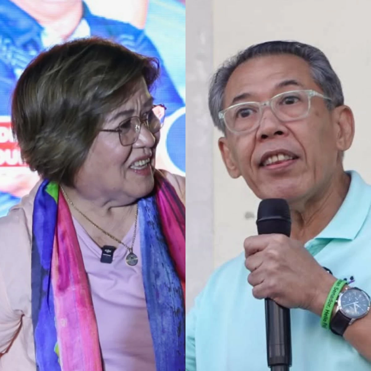 Leila de Lima (left), Chel Diokno (Facebook)