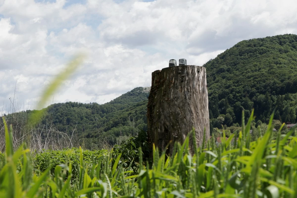 ANKLES of sawed off and taken away bronze statue which represented Melania Trump remain on the tree stump where it was placed in 2020, in the village of Rozno, Slovenia, Friday, May 16, 2025, near her hometown of Sevnica. (AP)