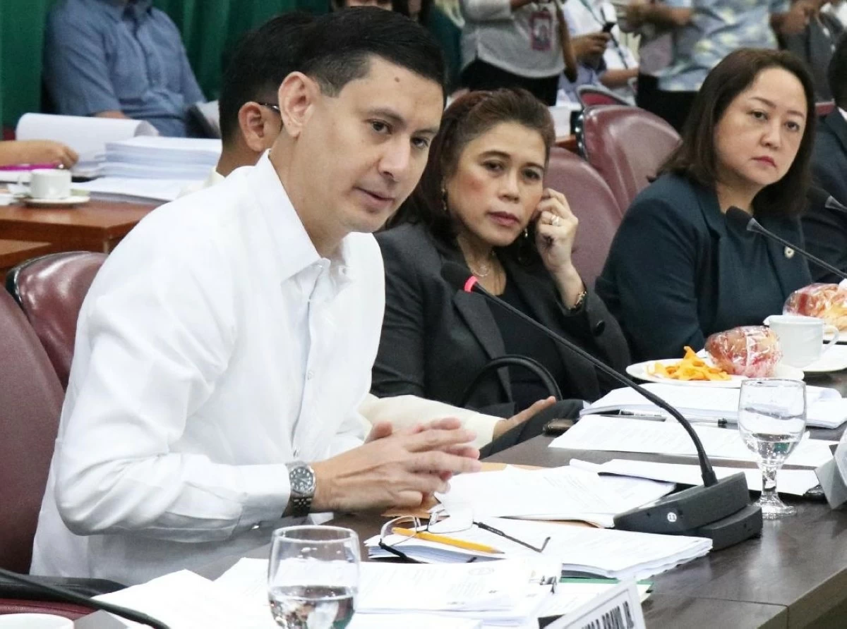 Iloilo 3rd district Rep. Lorenz Defensor (PPAB)