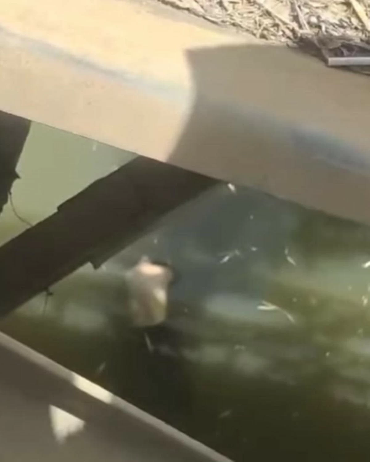 The headless body found in the river near the old bridge at the boundaries of Barangays Upig and Salapungan, San Rafael, Bulacan, on Tuesday, May 20, 2025. (Photo from Balitang Bayan FB.)
