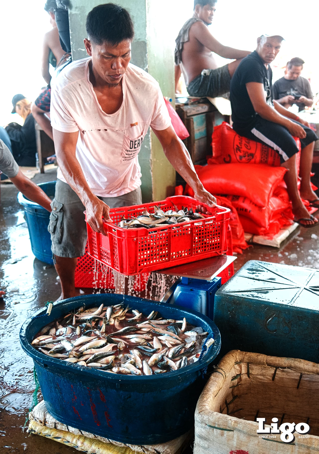 The ripple effect of responsible sourcing: 500 families now benefit from CPFI's partnership with accredited suppliers in the region.