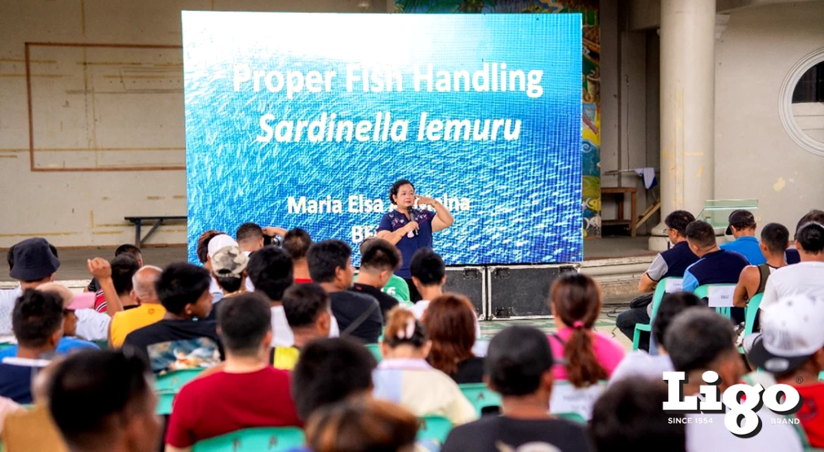 Over 250 fisherfolk trained in sustainable fishing practices, helping protect marine ecosystems and improve catch quality.