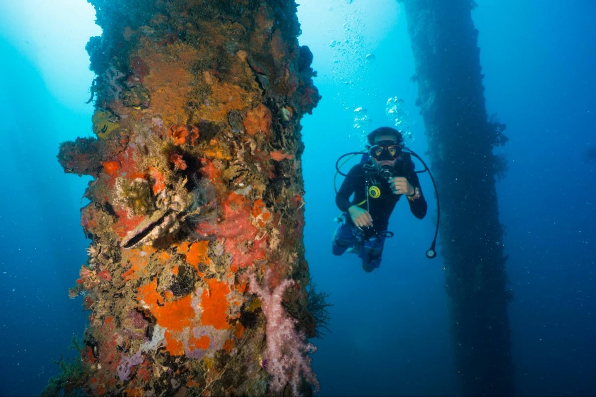 Reduced waste at the TVI facility has led to thriving marine ecosystems, as seen in the healthy, vibrant coral growth surrounding the area.