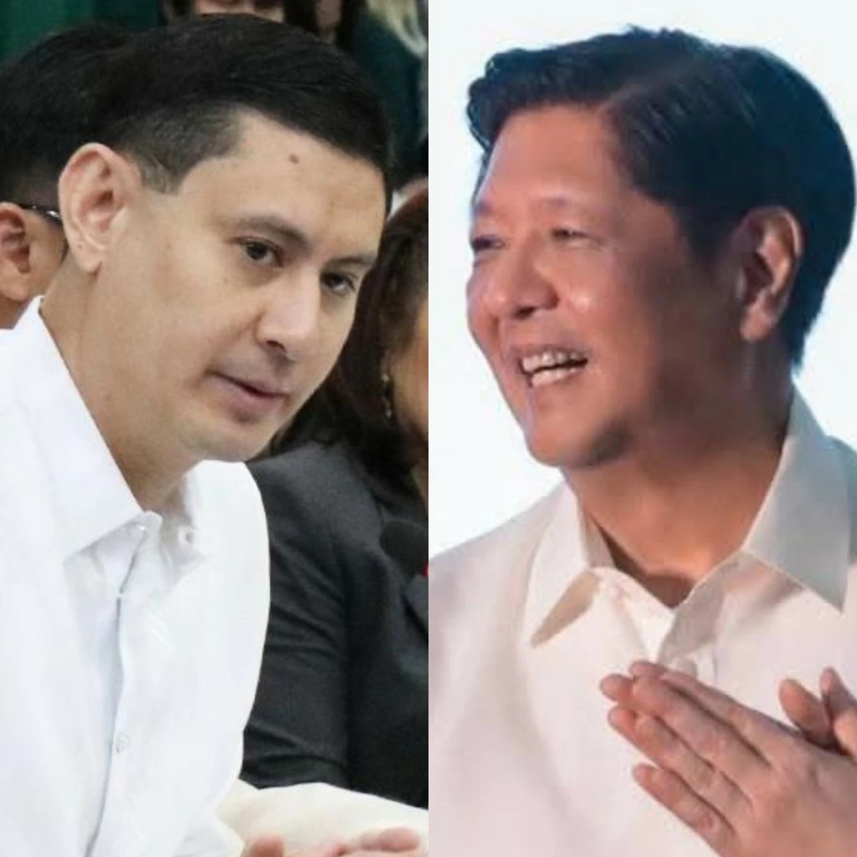 Iloilo 3rd district Rep. Lorenz Defensor (left), President Ferdinand "Bongbong" Marcos Jr. (PPAB, Facebook)