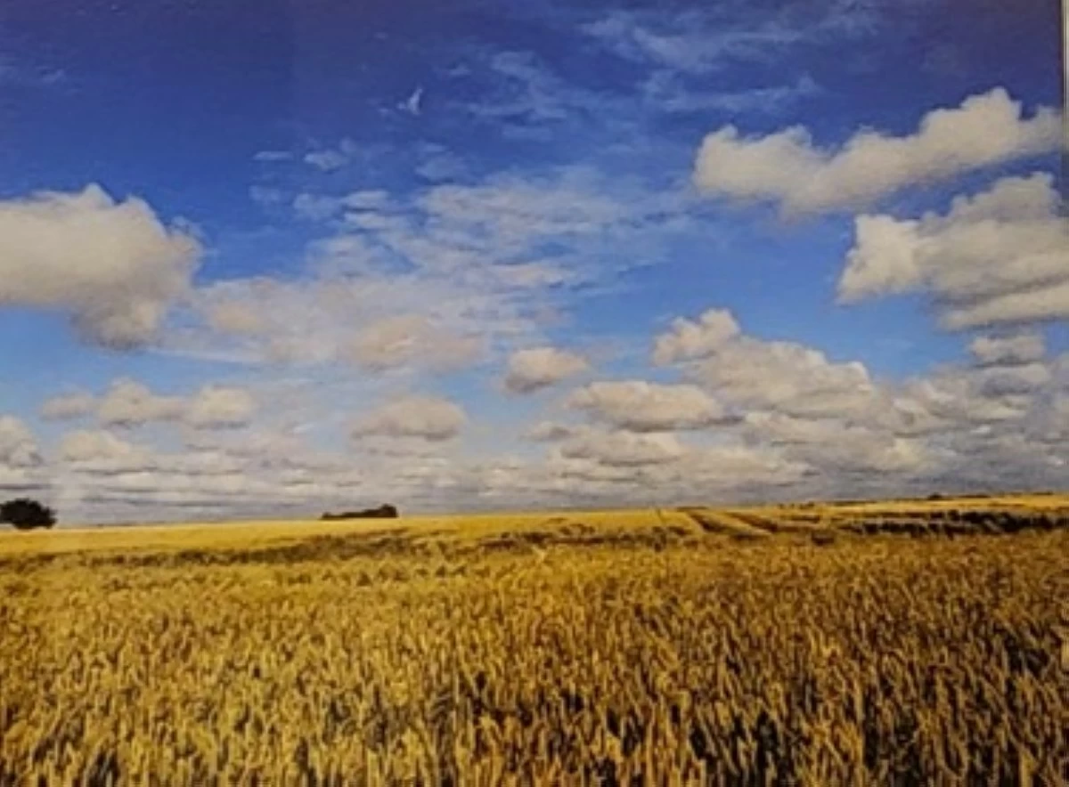 Where am I! II by Anna Lisa Ghini of Italy 
