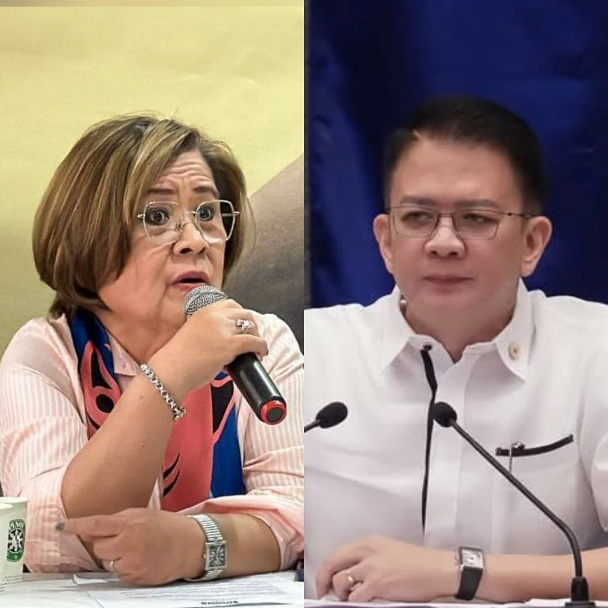 Mamamayang Liberal (ML) Party-list Rep. Leila de Lima (left), Senate President Francis "Chiz" Escudero (PPAB, Facebook)