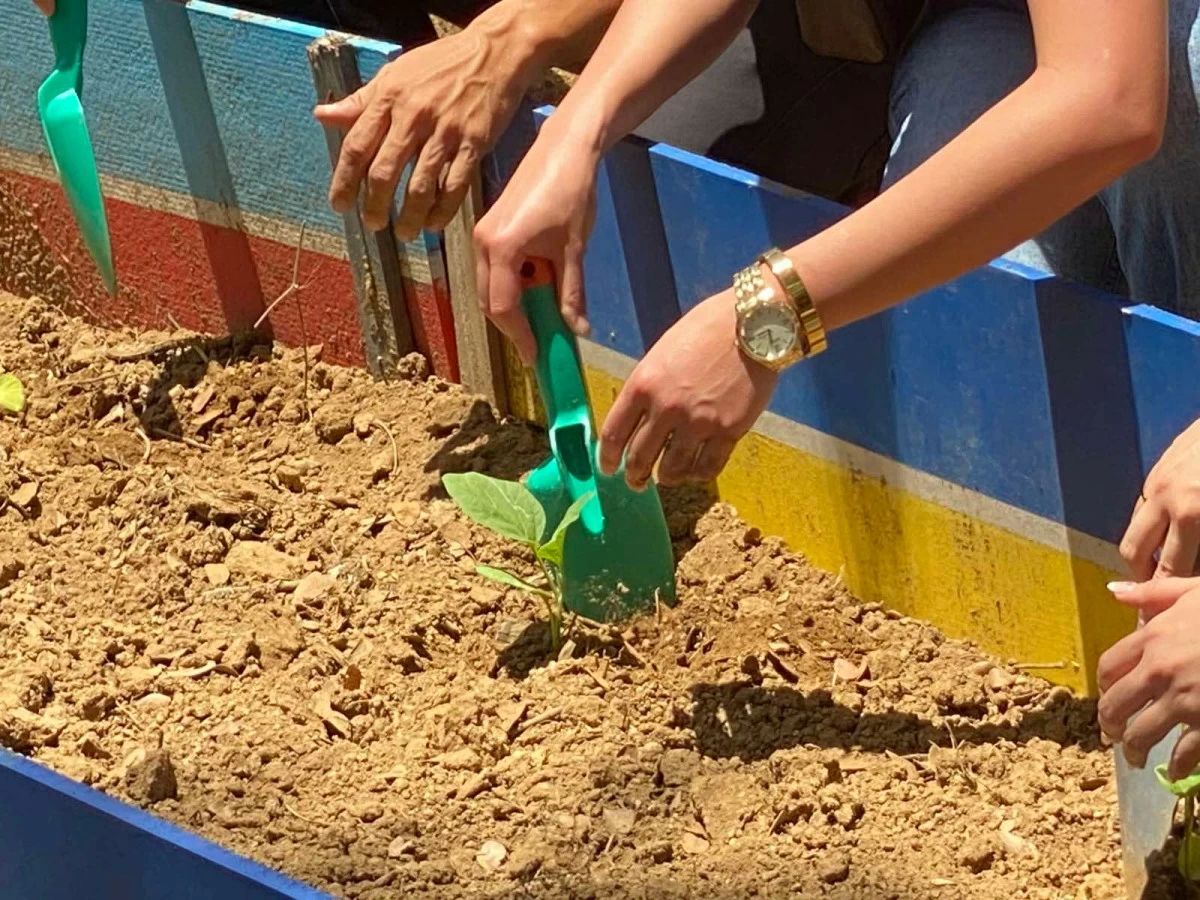 Participants plant eggplant seedlings in Barangay Hugo Perez, Cavite.