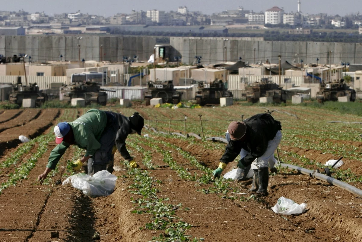 FILE - Thai workers work in a field next to an Israeli army base outside the Gaza Strip, near the southern Israeli Kibbutz of Nahal Oz. Thursday, Nov. 30, 2006. (AP Photo/Tsafrir Abayov, File)