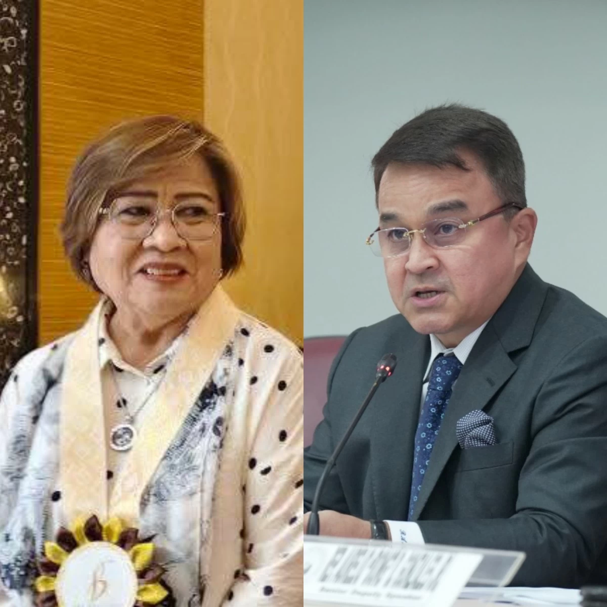 Mamamayang Liberal (ML) Party-list Rep. Leila de Lima (left), Surigao del Norte 2nd district Rep. Robert Ace Barbers (Facebook, PPAB)
