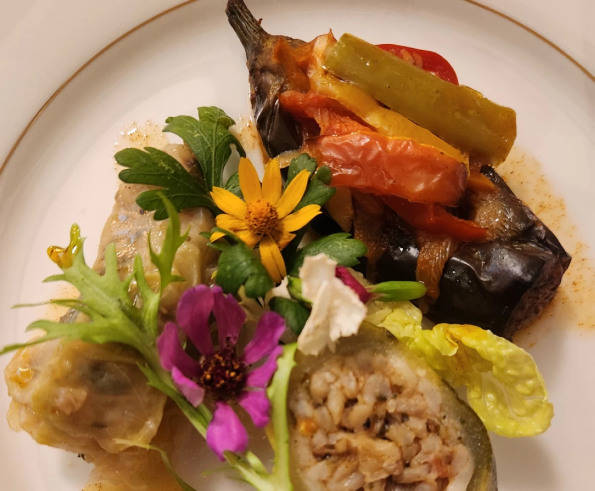 Appetizers: Imambayildi (stuffed eggplant), Kabak Dolma (sliced zucchini) and Lahana Sarma(rolled cabbage) 