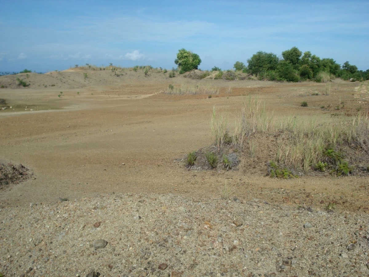 The Mogpog abandoned mine site in 2006 before Bioremediation