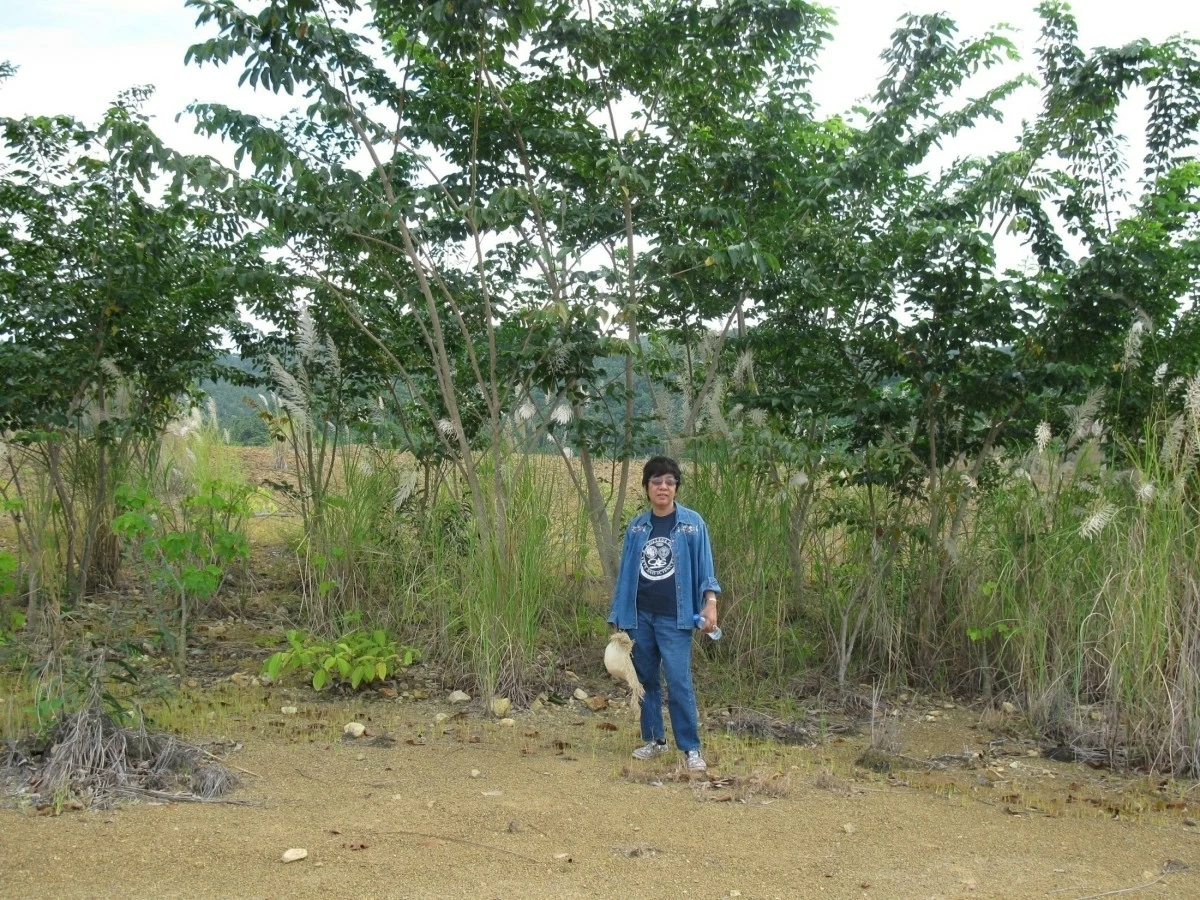 The site in 2010 with Dr. Raymundo