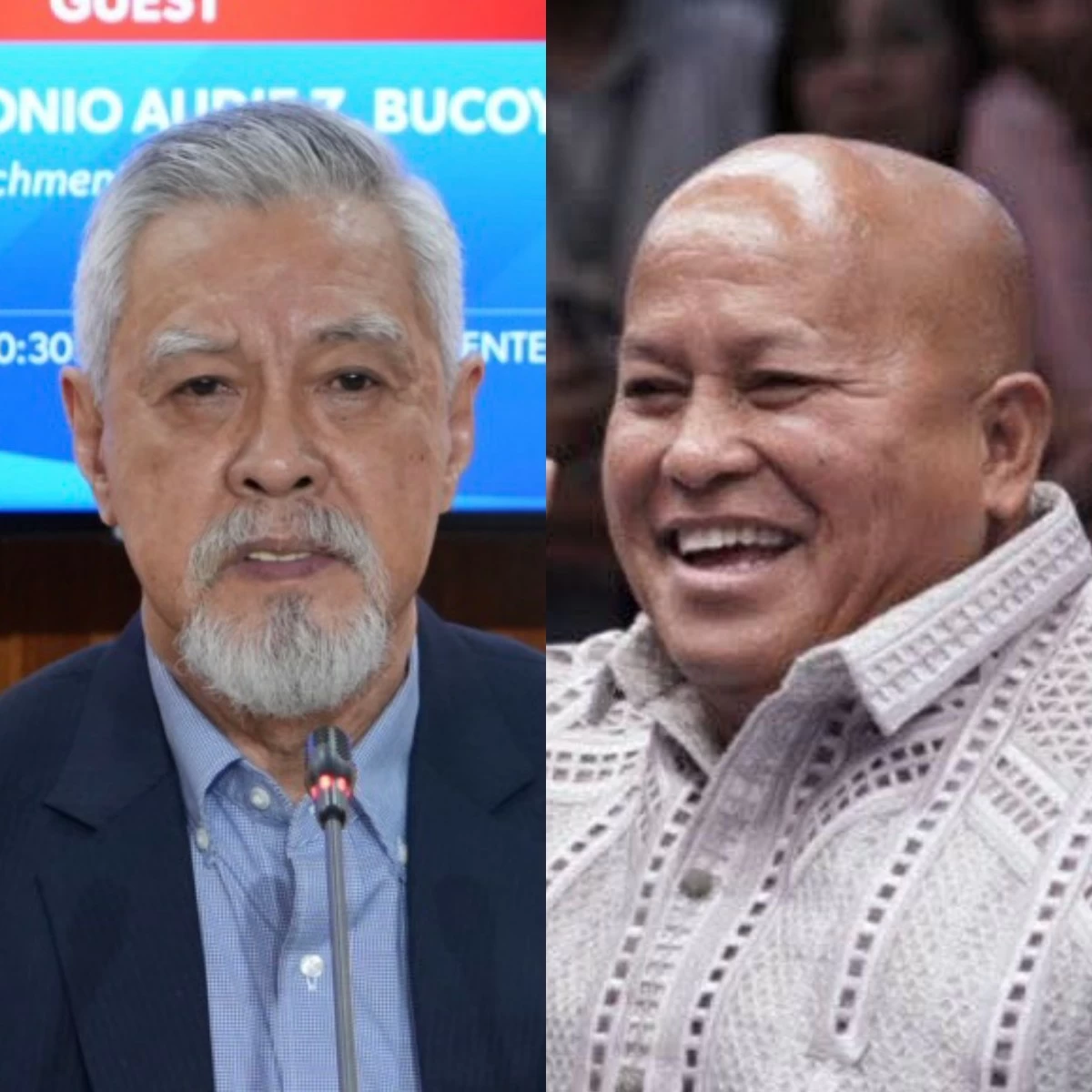 House prosecution panel spokesman Antonio Bucoy (left), Senator Ronald "Bato" dela Rosa (PPAB, Facebook)