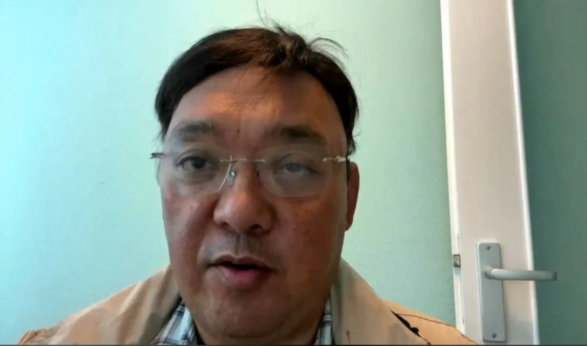 Lawyer Harry Roque (Facebook)