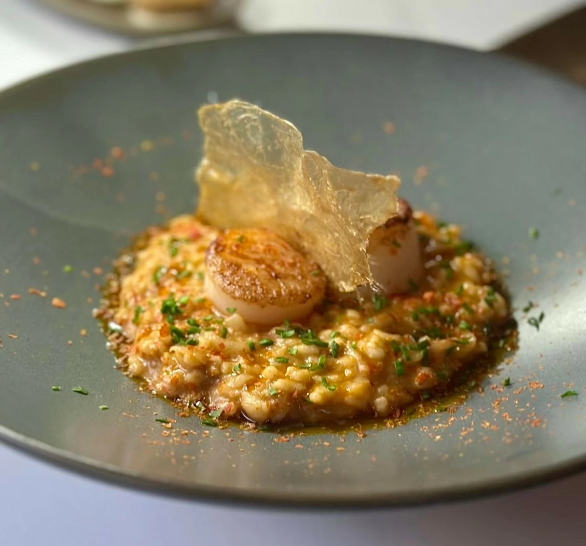 SEA RICHNESS In Aligue, Japanese scallops sit atop a rich shellfish risotto, elevated by crab fat butter and a crisp crown of chicken skin.