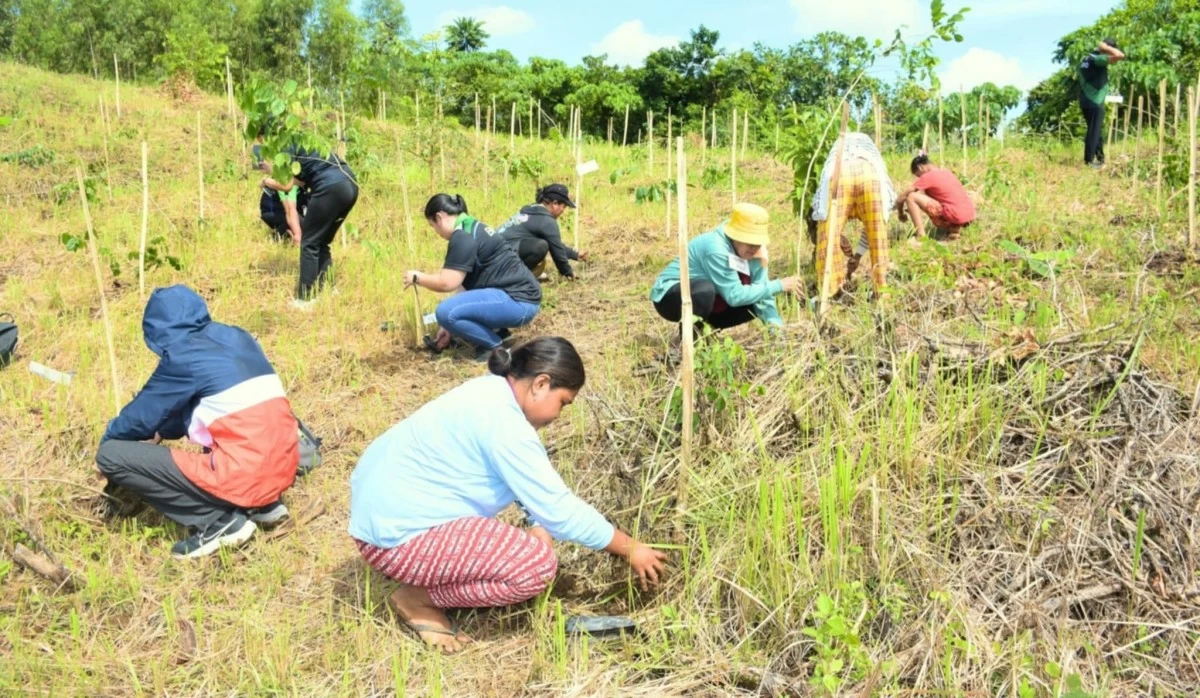 The Bulacan Environment and Natural Resources Office (BENRO), led the major reforestation drive of the provincial government of Bulacan on Wednesday, June 25, 2025, in Sitio Payapa, Barangay Camachin, Doña Remedios Trinidad (DRT). (Photo courtesy of Bulacan Government)