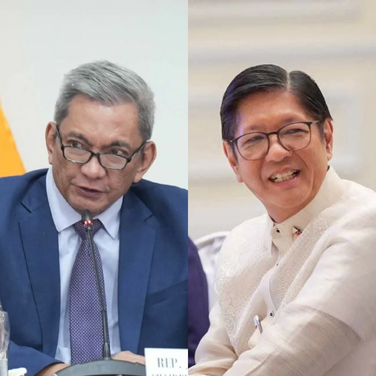 Albay 2nd district Rep. Joey Salceda (left), President Ferdinand Bongbong Marcos Jr. (PPAB, Facebook)