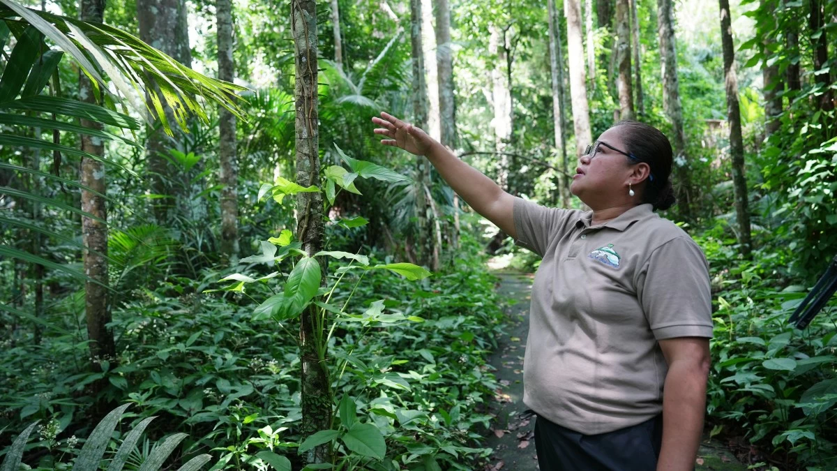 Dr. Lerma SJ. Maldia, Director of MCME, at the Toyota Palmetum Garden - once just a corner of the Makiling Botanic Gardens where few native trees grew, now thrives as a curated sanctuary of native and threatened palms, built for conservation and learning.
