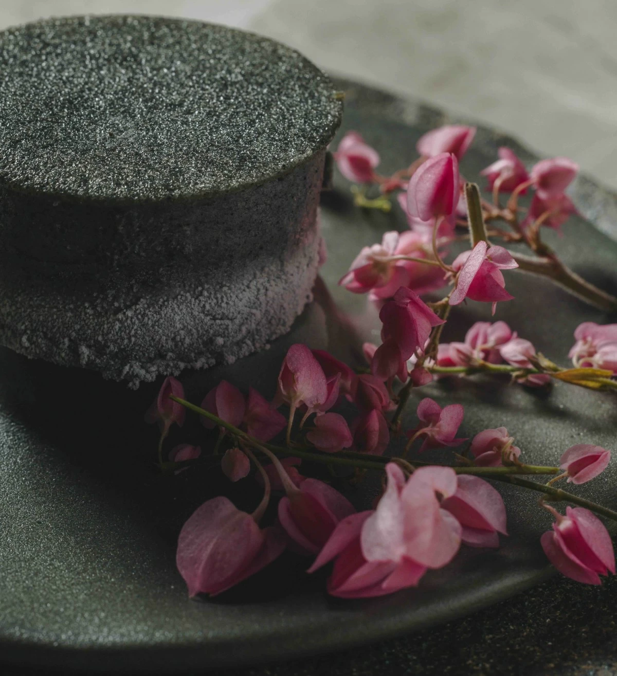 Chocolate and Pistachio Entremet