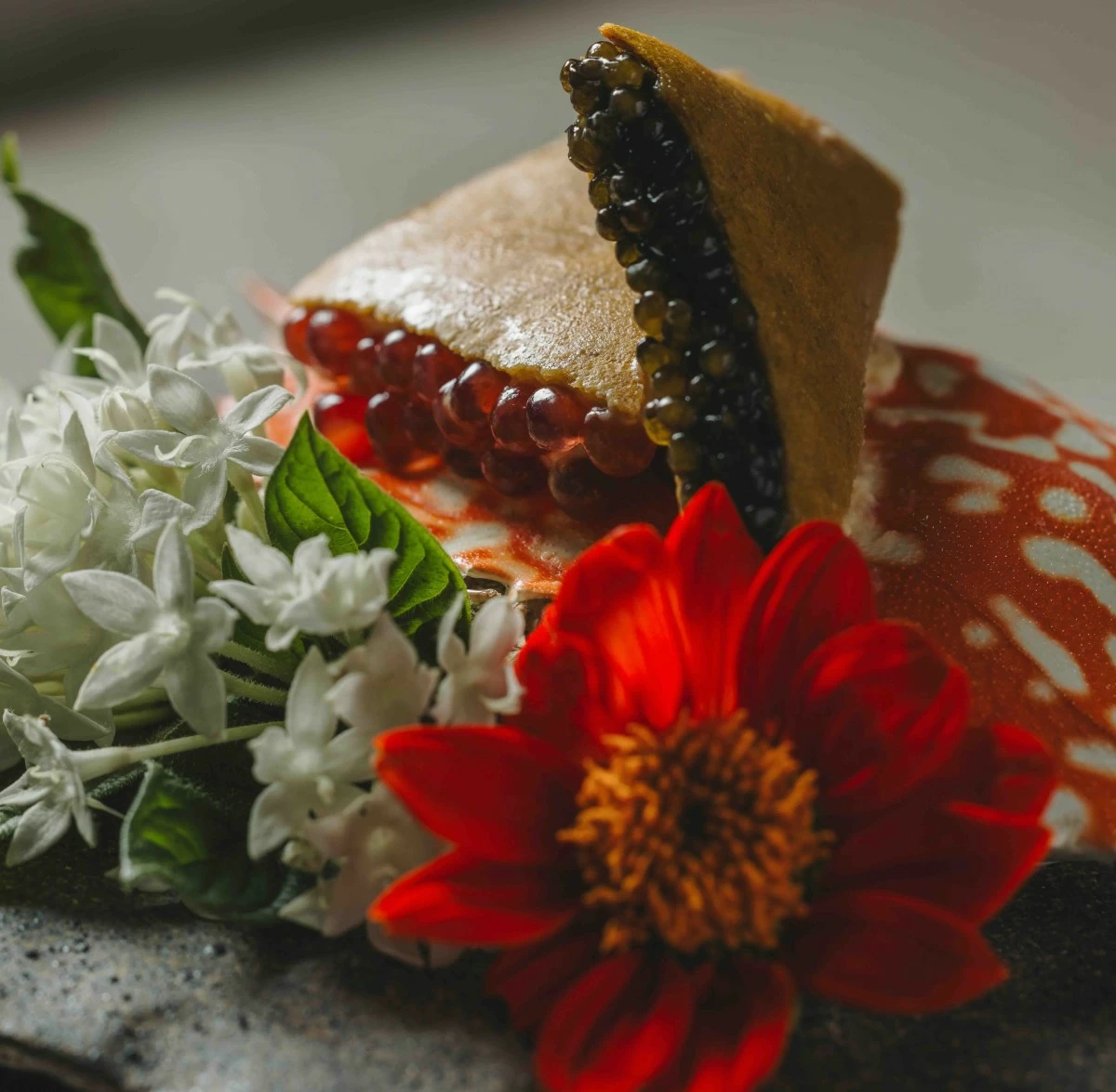Blue Crab Ice Cream Sandwich