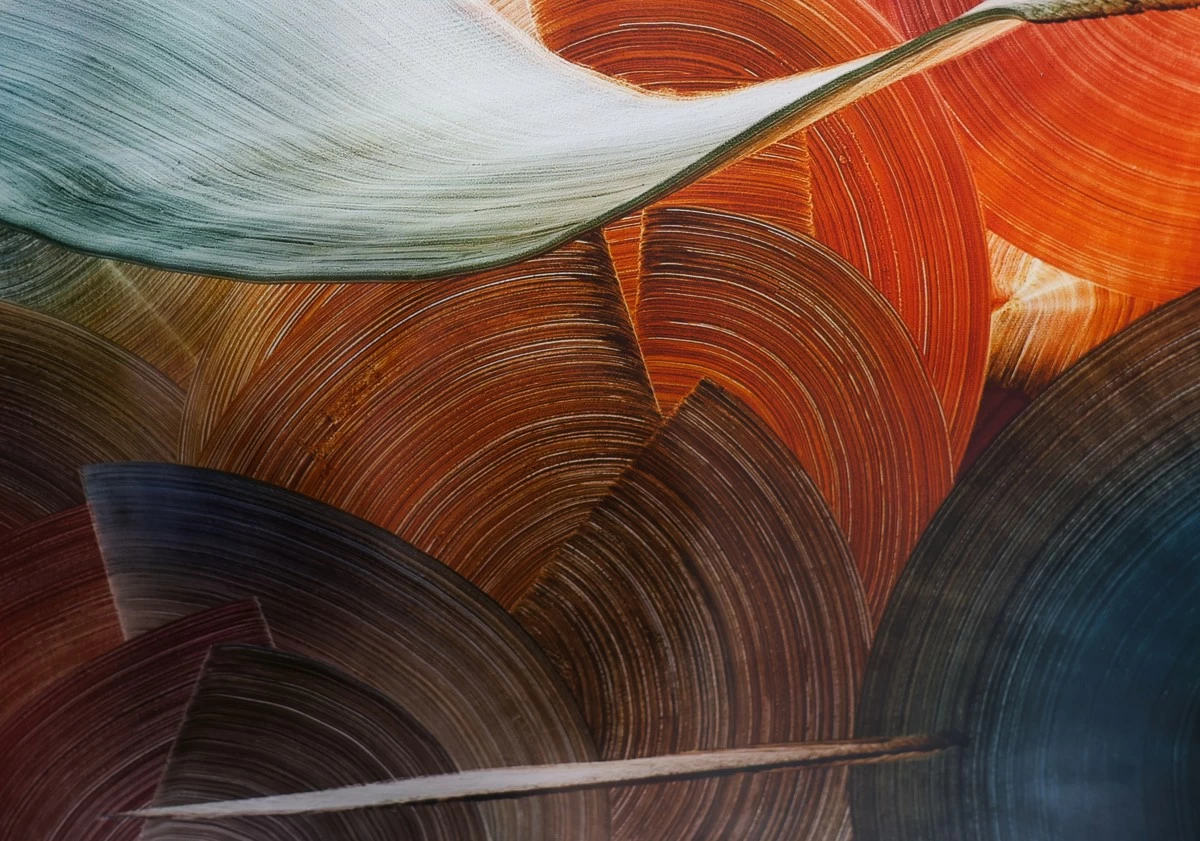 Detail shot of Justin Nuyda's 'Pride'