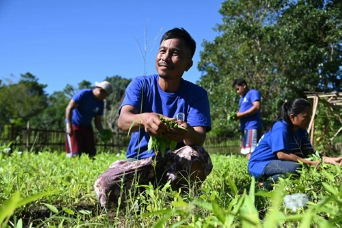 Empowering Local Farmers – Over 100 Ilocano farmers trained in sustainable agriculture through the KSK Program.