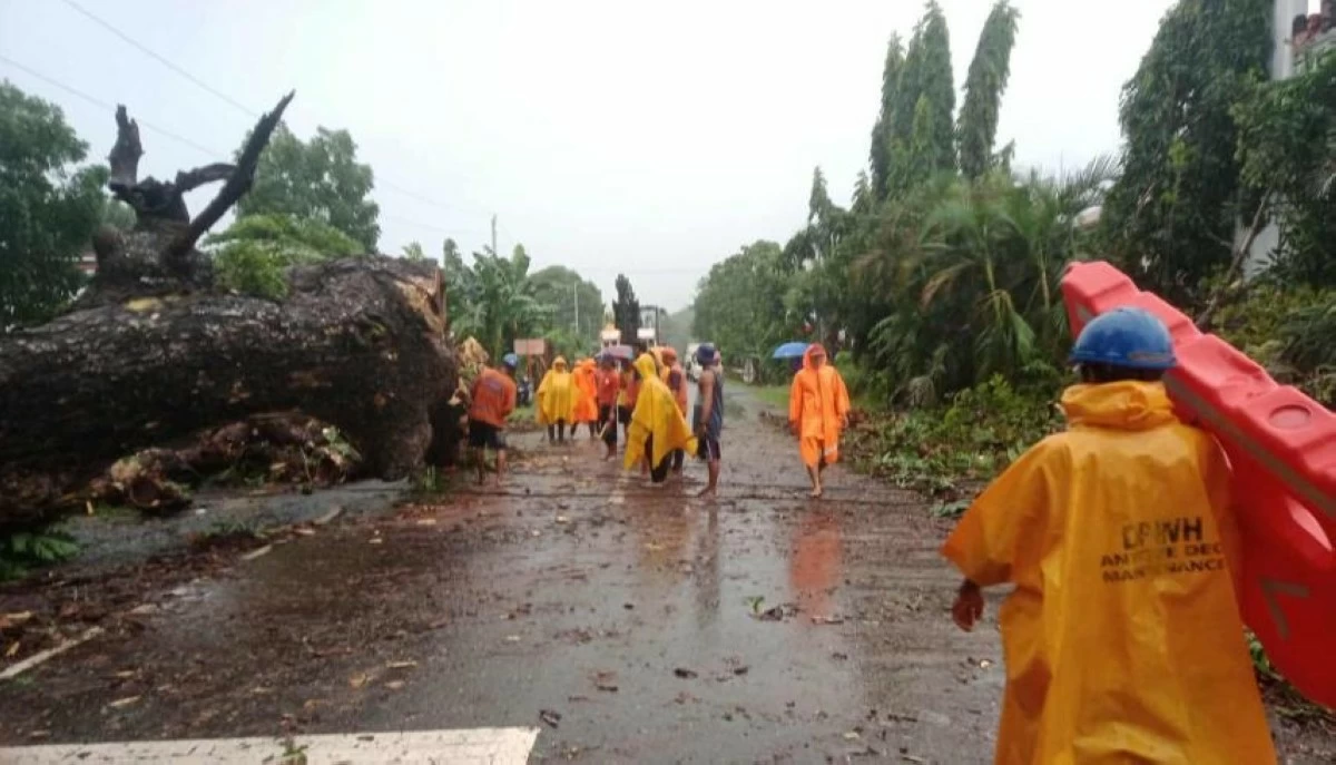 Fallen trees obstruct a section of the Iloilo–Antique Road in Barangay Carit-an, Patnongon, Antique, rendering it impassable on Friday, July 18, following strong winds and rains brought by Tropical Storm “Crising” and the enhanced southwest monsoon. Personnel from the Department of Public Works and Highways (DPWH) were immediately deployed to clear the area. (Photo courtesy of DPWH)