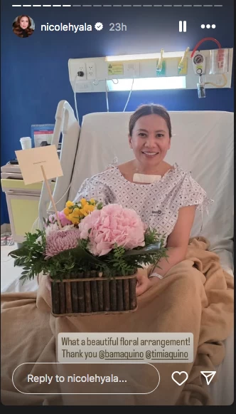 Instagram story of Nicole Hyala