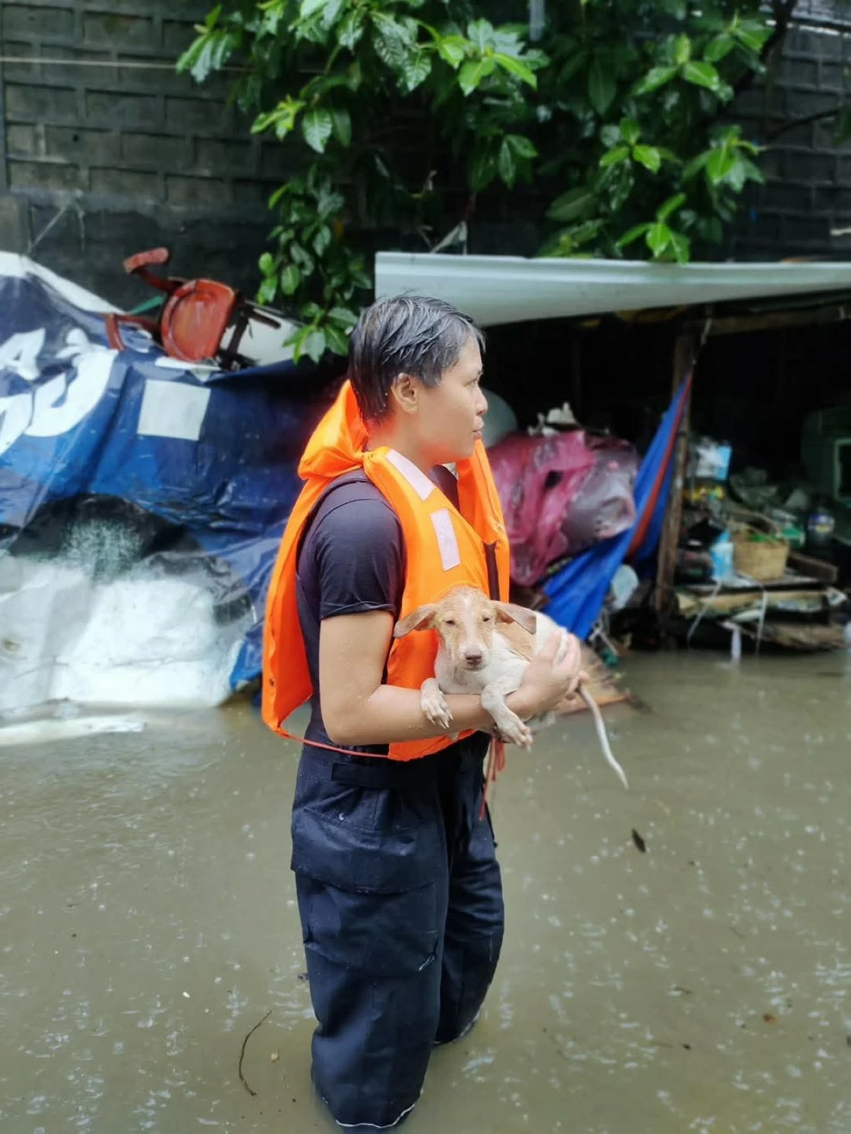 (Photo from Malabon City Government)