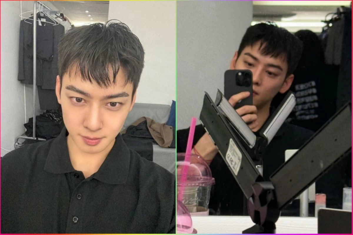 Cha Eun-woo (Instagram) 