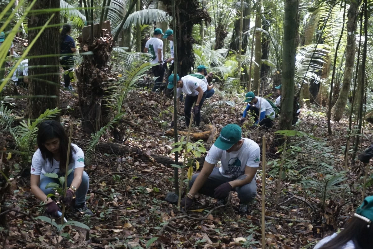 TMP Foundation Team Members, together with TMP Tech volunteers & scholars,
during a tree-planting activity at Mount Makiling