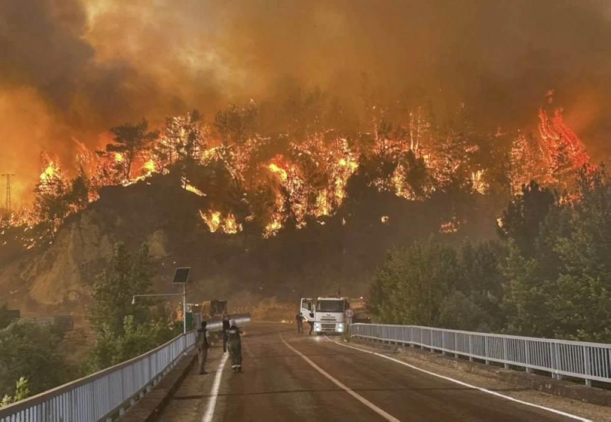 A wildfire rages across a forested area near Cavuslar Village, in Karabuk district, northwest Turkey, Wednesday, July 23, 2025. (Ridvan Bostanci/IHA via AP)