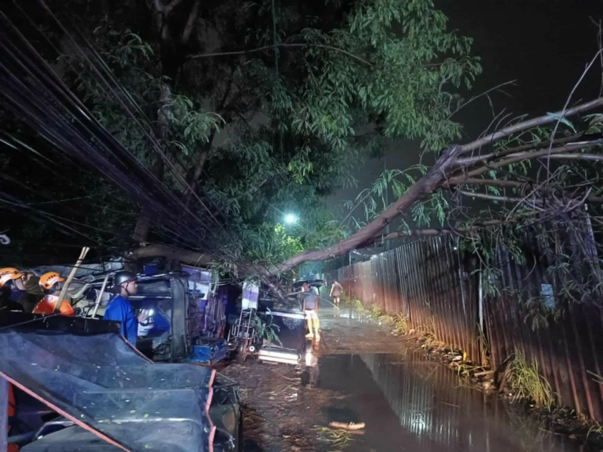 City government workers removing a fallen tree in Muntinlupa (Photo from the Muntinlupa City government)