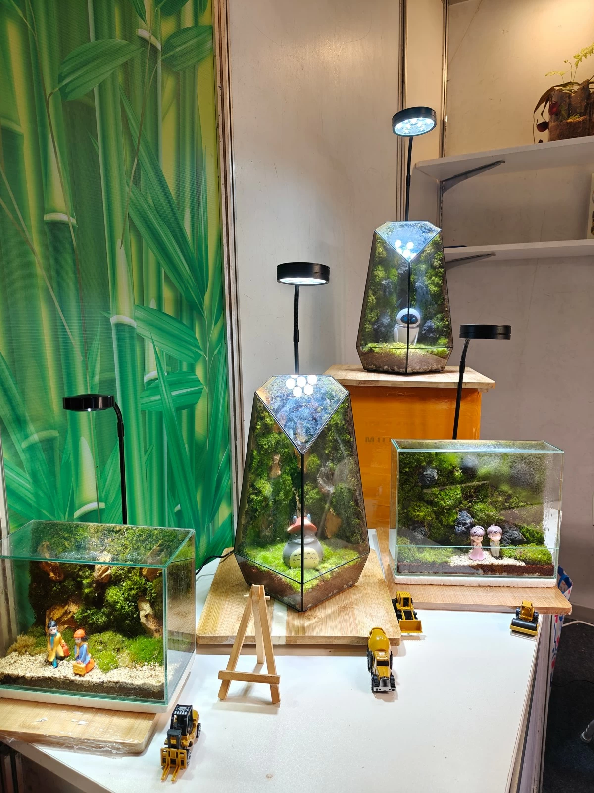 Monster Pot's terrarium