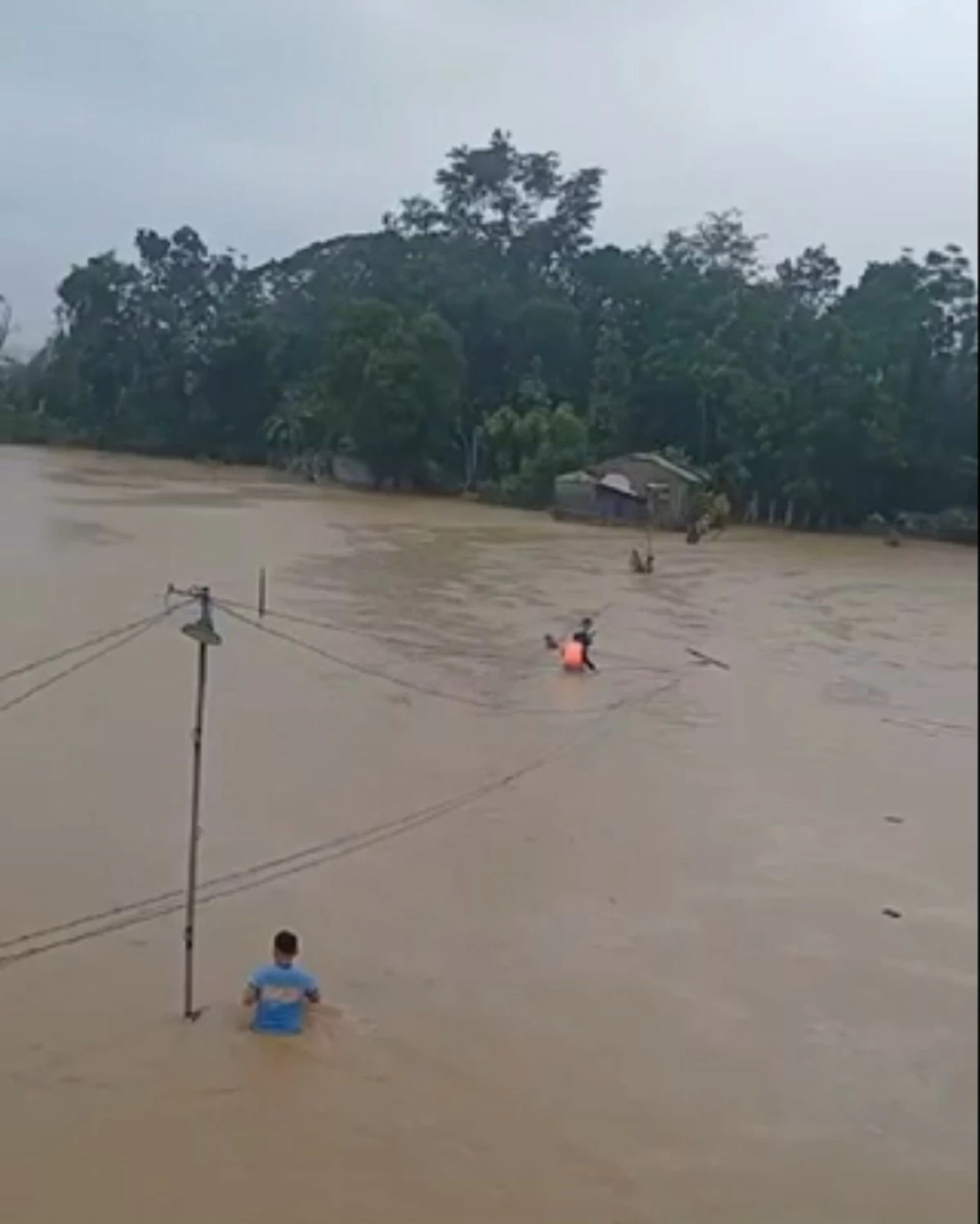 (Rep. Ortega's office)