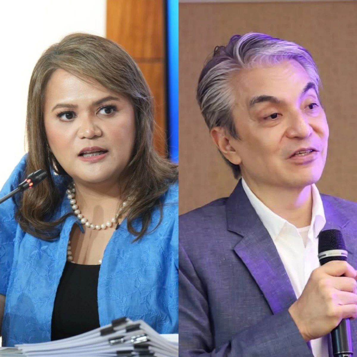 House Spokesperson Princess Abante (left), Navotas City lone district Rep. Toby Tiangco (PPAB, Facebook)