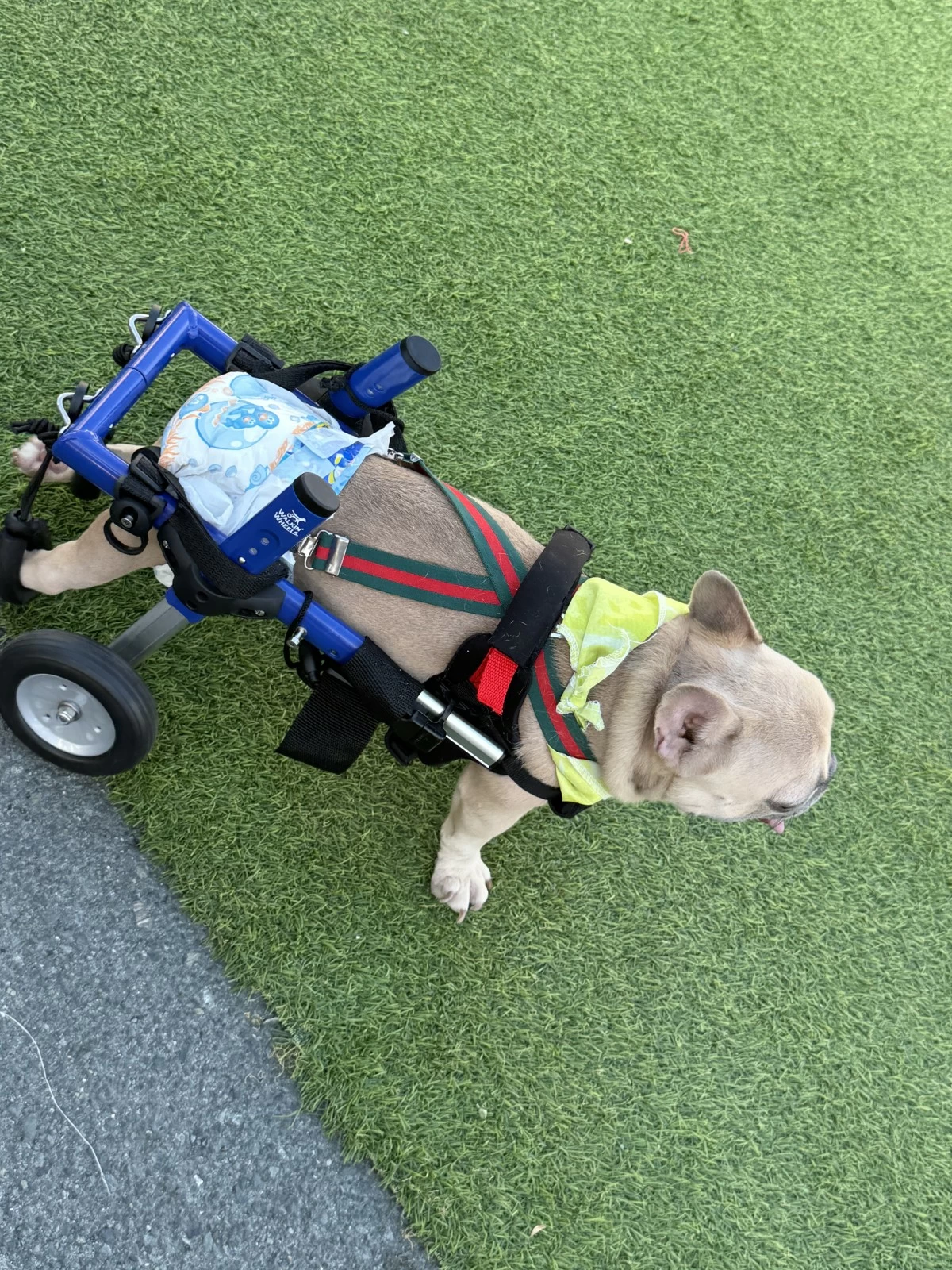 Liit made her way to everyone’s hearts at the EastWest Dream Run.
