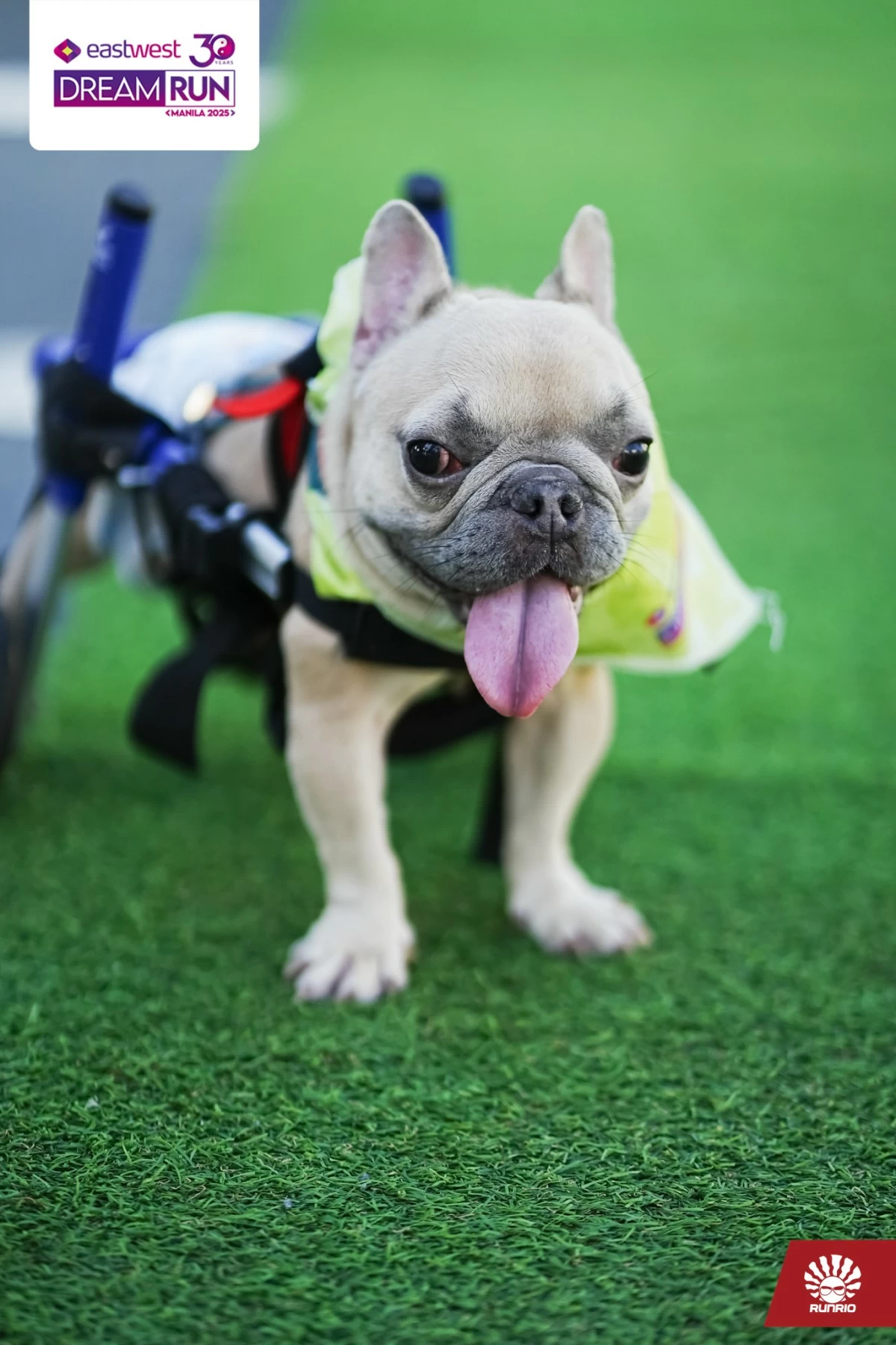 Liit made her way to everyone’s hearts at the EastWest Dream Run.
