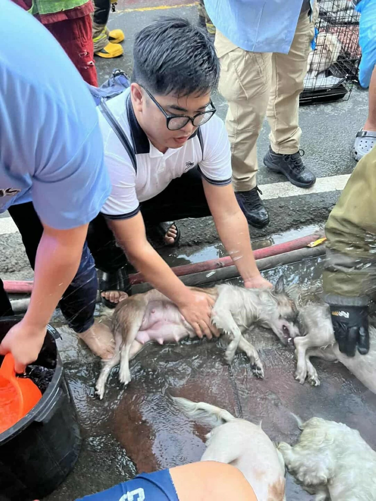 Firefighters and barangay officials work together to rescue trapped dogs during a residential fire in Marikina City.
(Photos courtesy of Marikina BFP and Kagawad Marlou Parro)