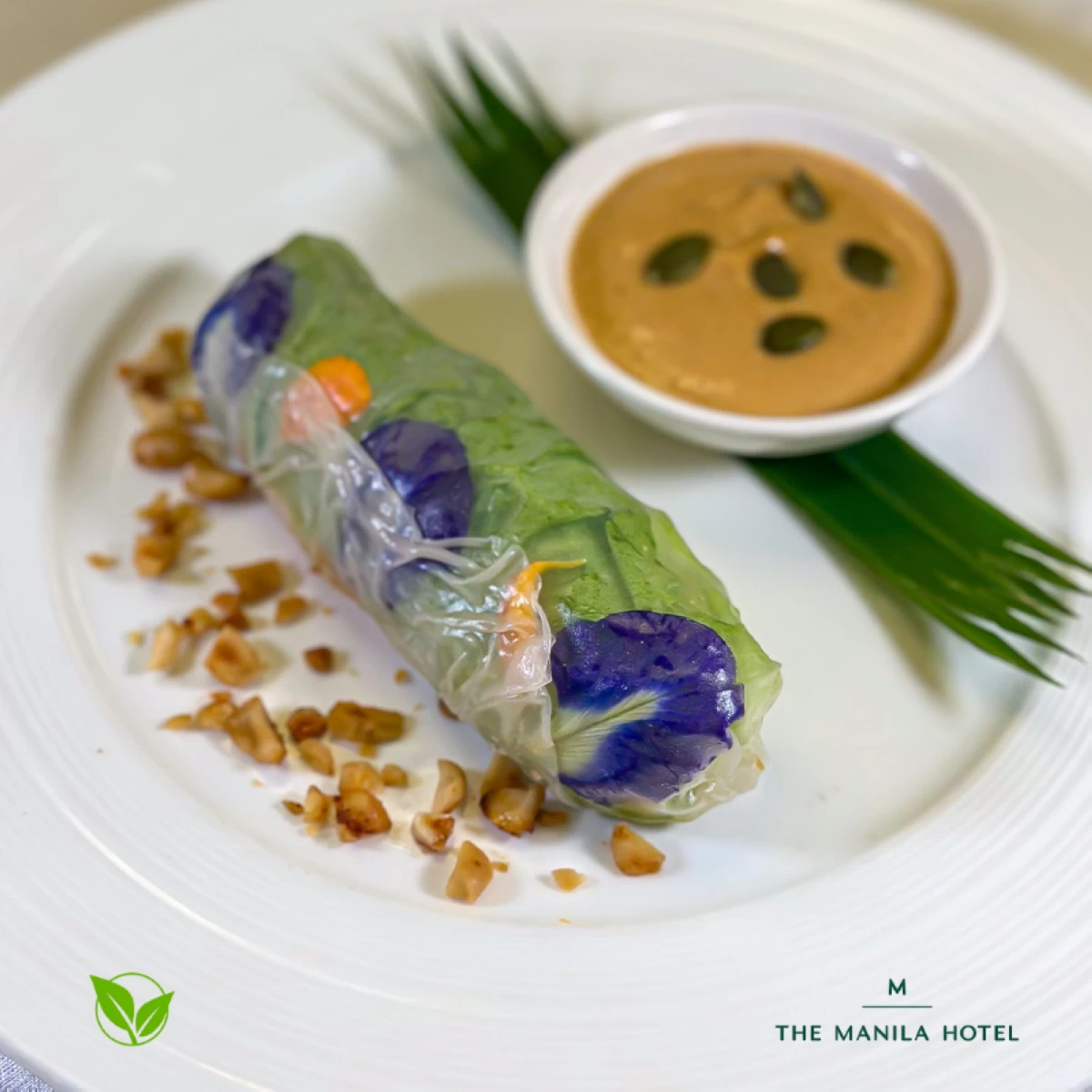 Fresh Garden Spring Roll with Peanut Cream Sauce