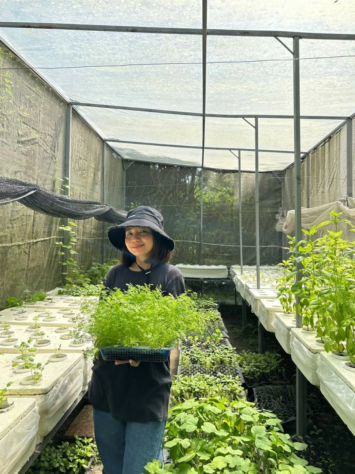 Rolet Cunanan, owner of Magalang Hydroponics Farm, inside a greenhouse filled with fresh plants. She grows hydroponic crops and seedlings, which have become her main source of income.