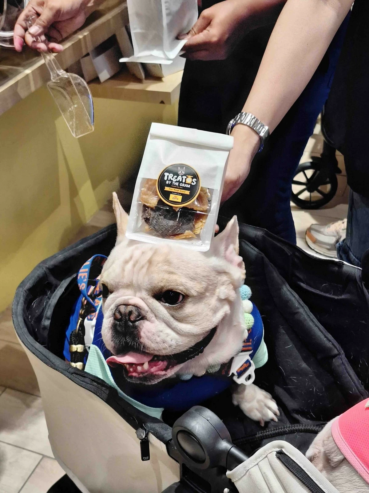 Fur baby with their treats