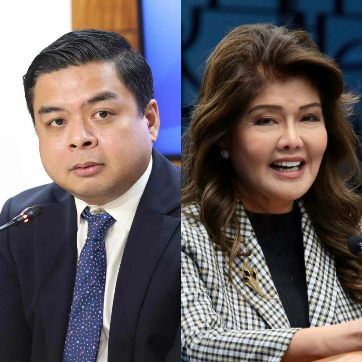 Bicol Saro Party-list Rep. Terry Ridon (left), Senator Imee Marcos (PPAB, Facebook)