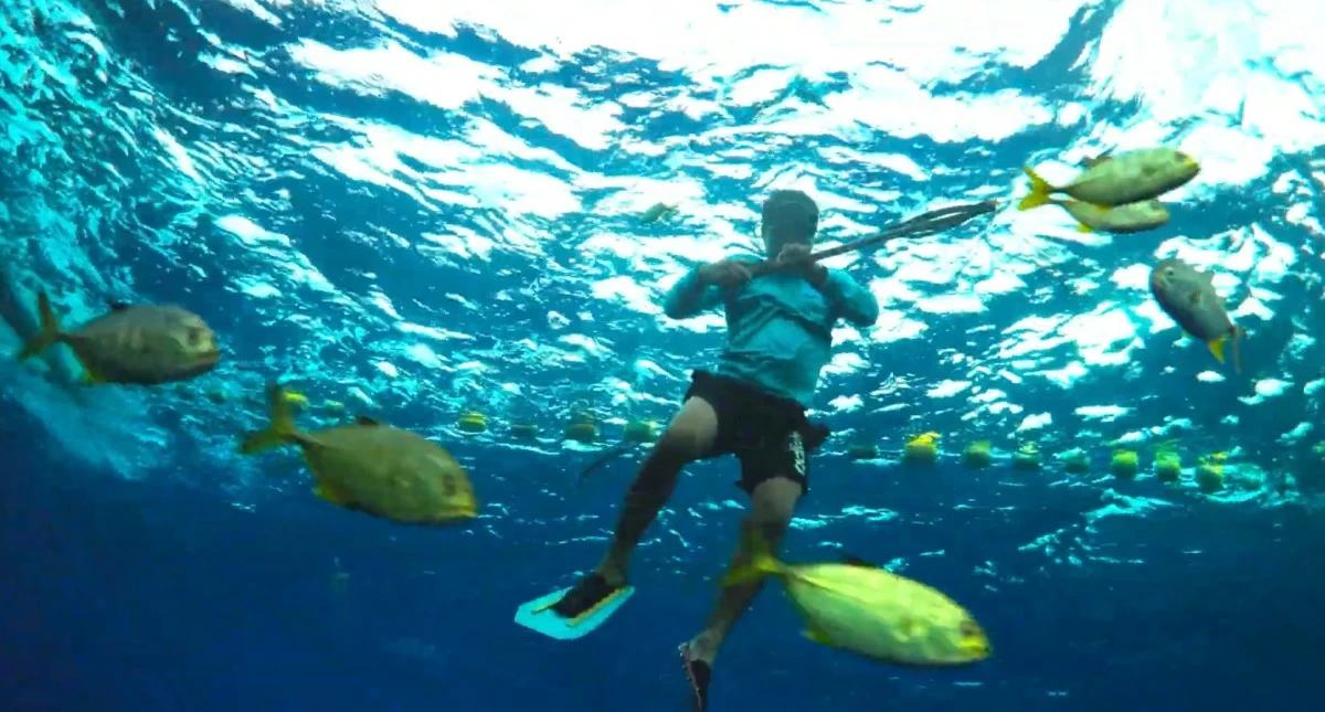 AN HONEST LIVING Fishing is the main source of livelihood in 'Food Delivery'