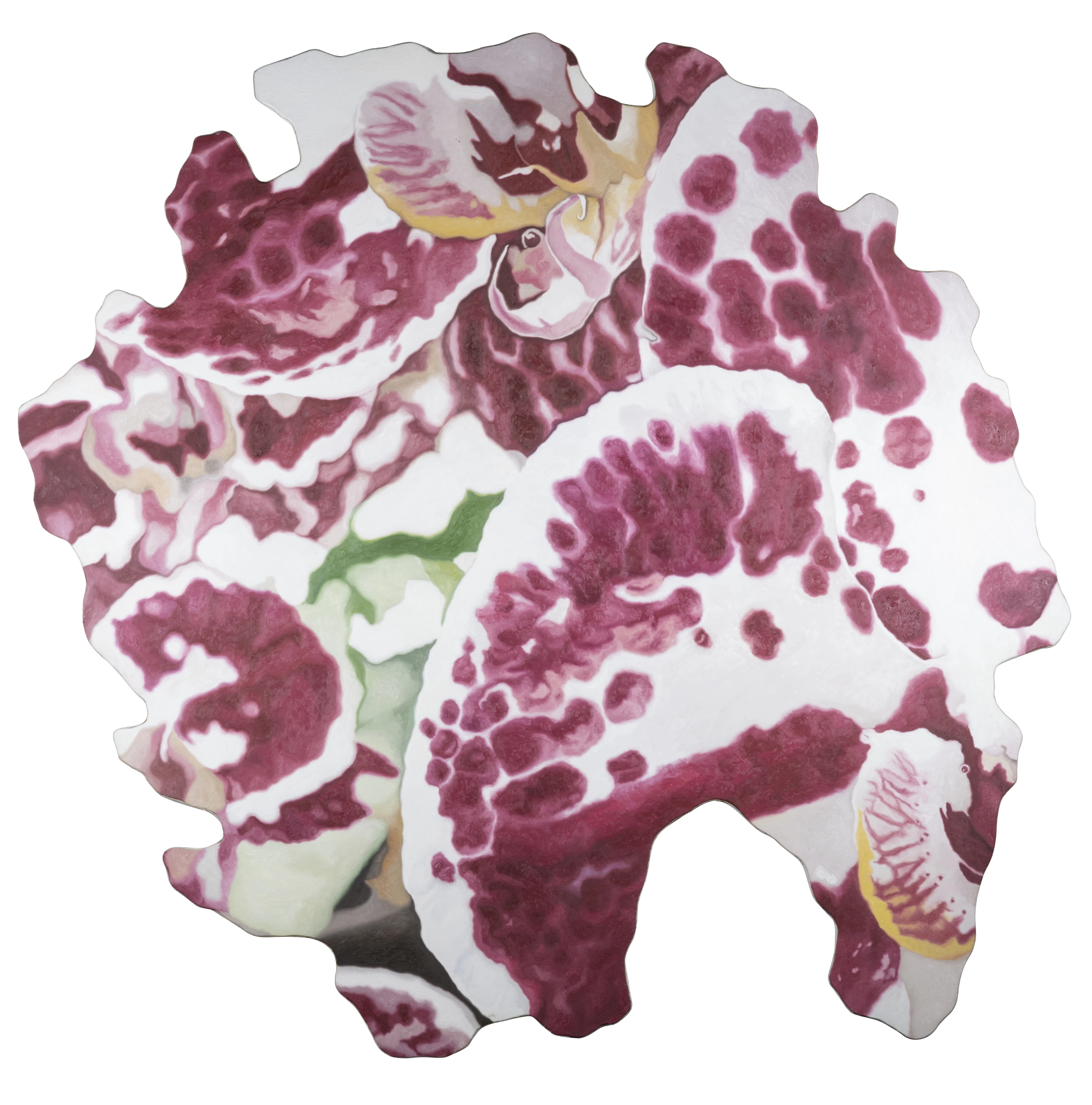 'UNTITLED (BUTCHER'S BLOSSOM) IV,' oil on canvas, Patricia Perez Eustaquio, 2013