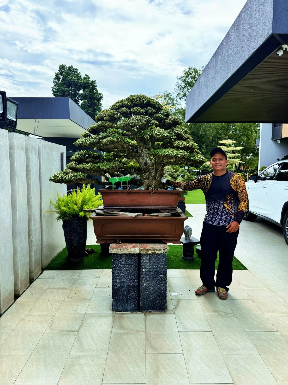 A 65-year-old Hibiscus Taiwan bonsai tree, part of Margie Huan’s collection and a multiple-awarded piece, including ‘Best in Show’ at the 2023 ASPAC Exhibition.