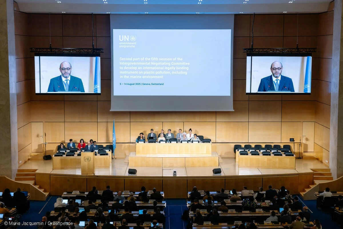 The second part of the fifth session of the Intergovernmental Negotiating Committee to develop an international legally binding treaty on plastic pollution, including in the marine environment (INC-5.2), takes place from the 5th to 14th August 2025 at the Palais des Nations in Geneva, Switzerland.