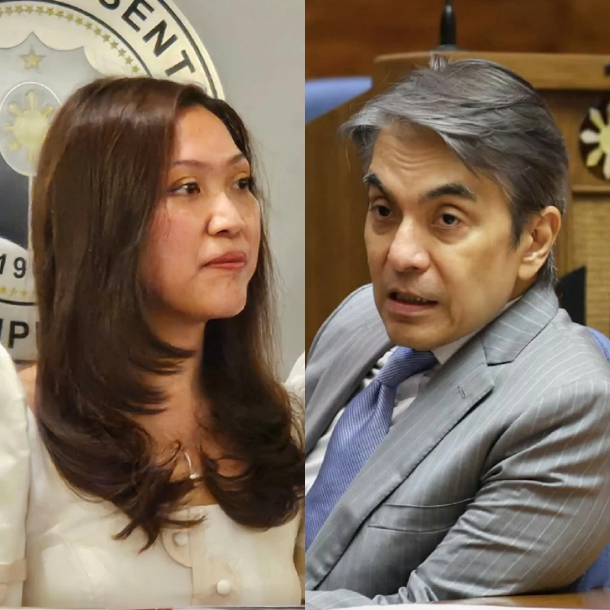 Nueva Ecija 1st district Rep. Mikaela Angela "Mika" Suansing (left), Navotas lone district Rep. Toby Tiangco (MANILA BULLETIN, Facebook)