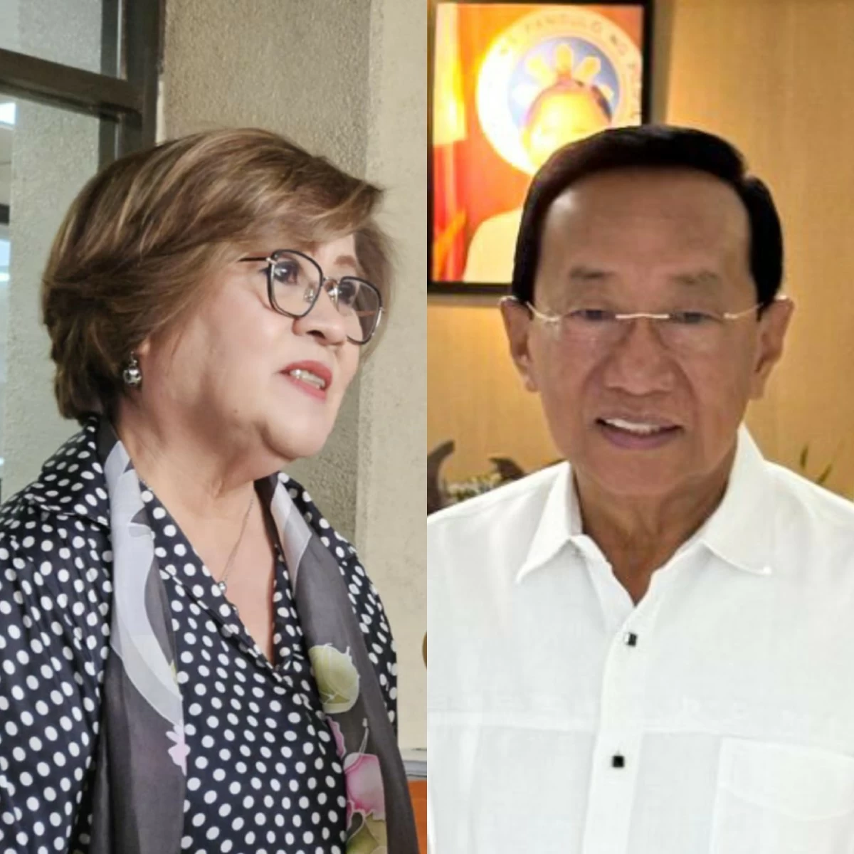 Mamamayang Liberal (ML) Party-list Rep. Leila de Lima (left), former DPWH secretary Manuel Bonoan (MANILA BULLETIN, PPAB)